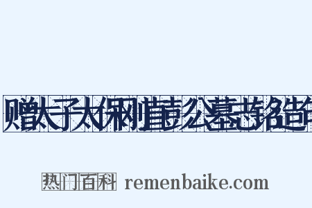 赠太子太保刚直彭公墓志铭造句是什么意思的图片